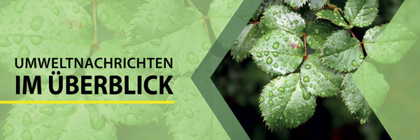 Umweltnachrichten im Überblick