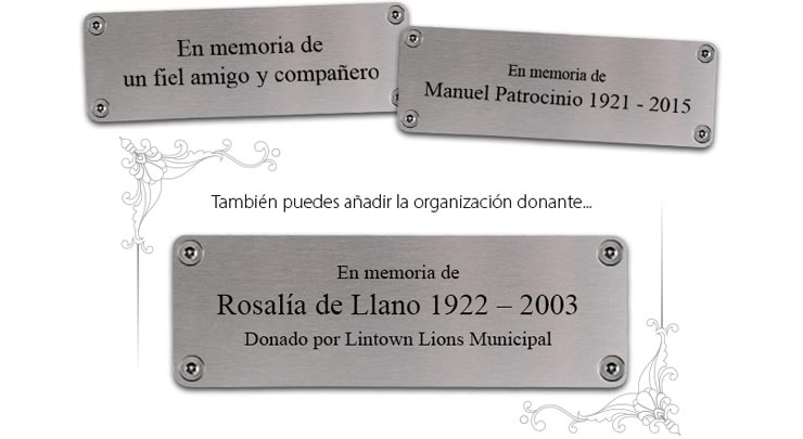 ejemplos de Presentaciones conmemorativas