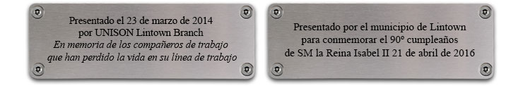 ejemplos de Presentaciones conmemorativas