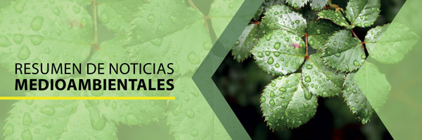 banner de resumen de noticias