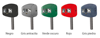 ¿Qué es esto? Color