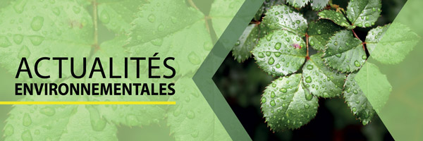 actualites environnementales