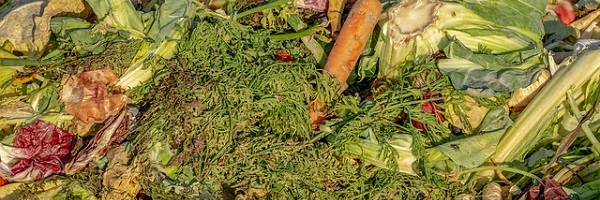 Compost &agrave; partir de d&eacute;chets alimentaires