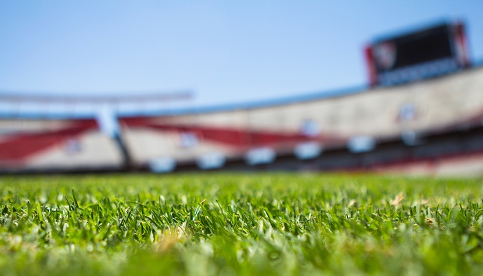 Stade