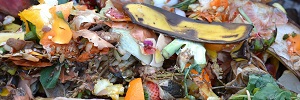 Comment am&eacute;liorer le tri &agrave; la source des biod&eacute;chets et des d&eacute;chets alimentaires