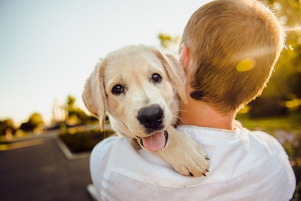 Chiot et son propriétaire