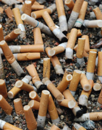 Pile de m&eacute;gots de cigarettes jet&eacute;s par terre