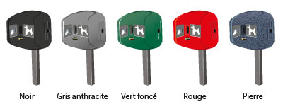 Qu'est-ce que c'est? Couleur
