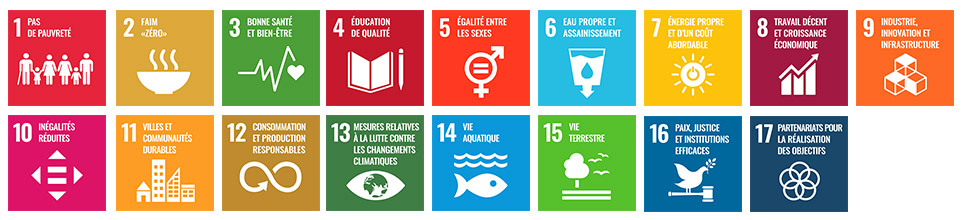 17 objectifs de développement durable
