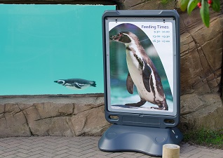 Advocate™ large poster display sign at zoo for feeding times with penguin