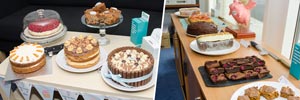 We Baked for Bliss