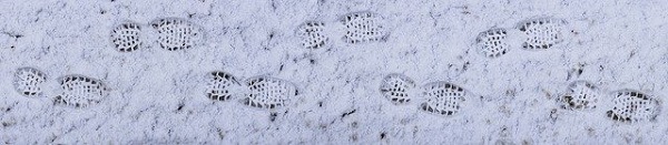 Footprints in the snow