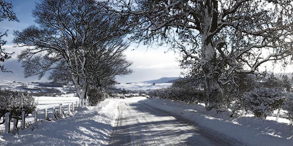 winter environment snow scene