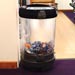 C-Thru&trade; 180 General Waste Bin