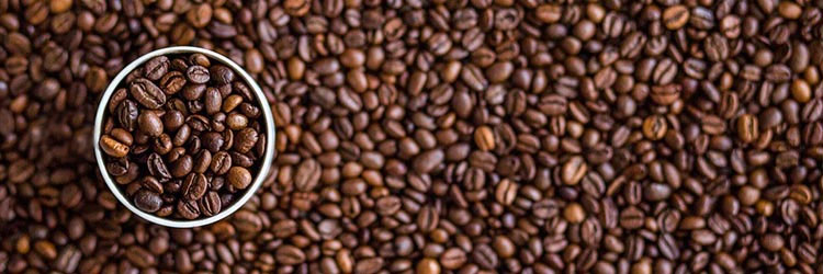 coffee beans with cup of coffee beans