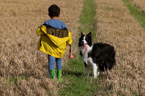 kind speelt met hun hond