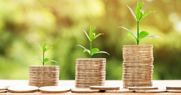 Drie stapels munten, die steeds groter worden, met planten, die uit de bovenkant groeien