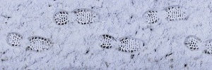 De winter komt eraan: 4 manieren om locaties en gebouwen op de winter voor te bereiden.