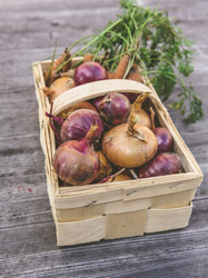 Fresh vegetables in a basket