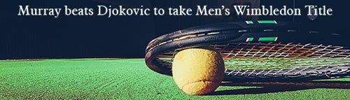 Andy Murray Wins Wimbledon