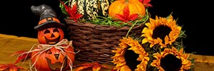 Come out &lsquo;frighting&rsquo; this Halloween, and help make it greener than ever!