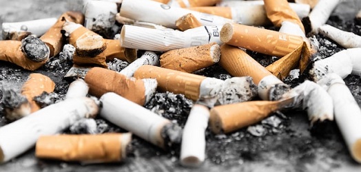 Cigarette Butts