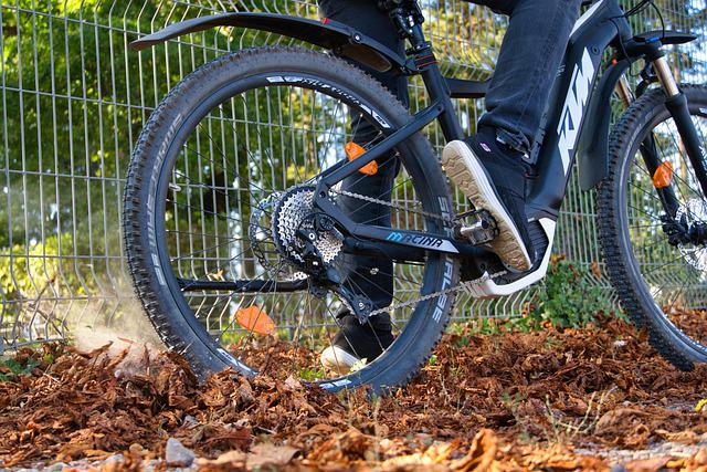 E-bike in park