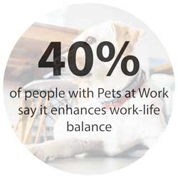 Pets at Work Life Balance