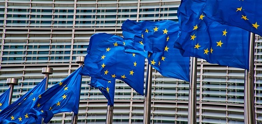 Row of EC Flags
