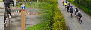 eBook: Everwood&trade;: Stop the Rot on your Rural Cycle Routes