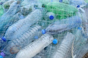 plastic bottles in a fishing net