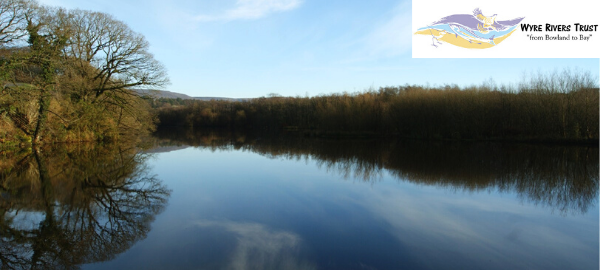 Wyre River Council