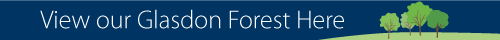 View our Glasdon forest here