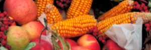 Tips for a greener Thanksgiving