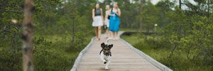 Fido&trade; ranked at #6 on Ezvid Wiki's list of the best dog waste stations, 2019