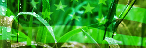 Keeping America Clean and Green this Independence Day