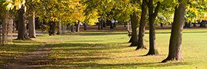 Protect our Parks and Keep them Clean