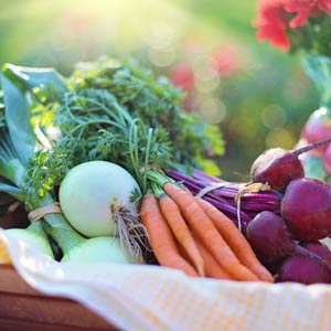 Source Food Locally &ndash; Reduce Commercial Kitchen Food Waste