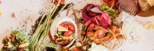 Taking Action Against Food Waste