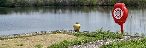 Guardian&trade; Planted in North America's Oldest Botanic Garden